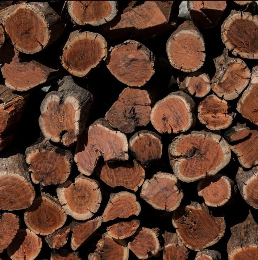 Close-up of dense Namibian firewood showing grain and cut