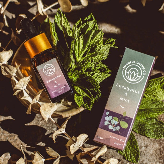 Eucalyptus & Mint diffuser oil with cool green herbs and candle burner – refreshing and clarifying.