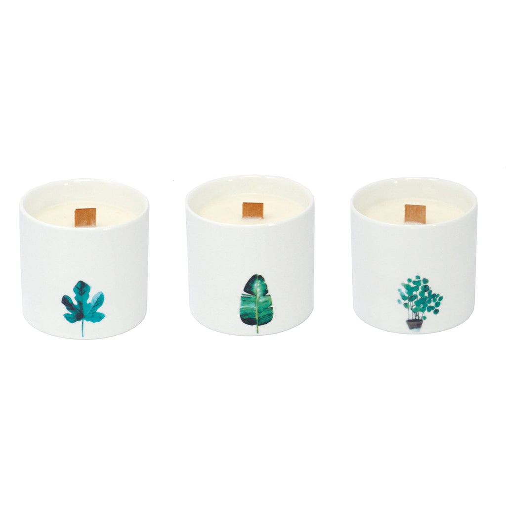 3 x Large Botanical Soy Wax Candle Sets - The Keico