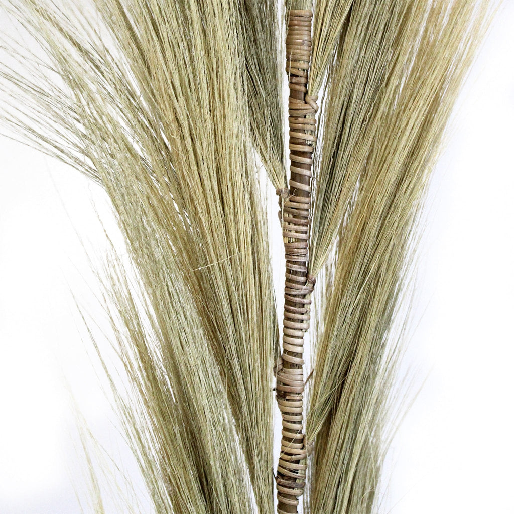 3 x Rayung Natural Sea Grass 1.6m Stems - Blonde - The Keico