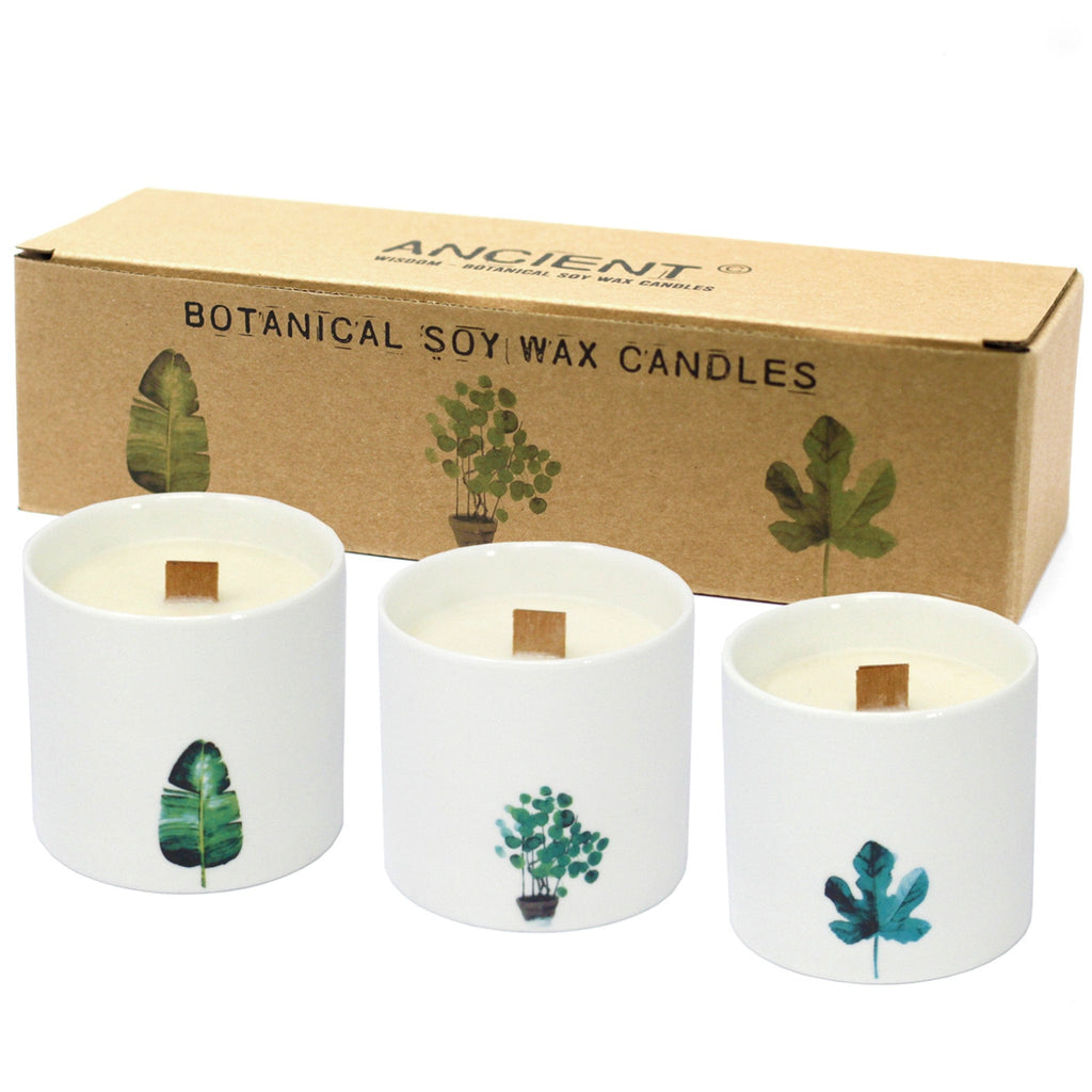 3 x Large Botanical Soy Wax Candle Sets - The Keico