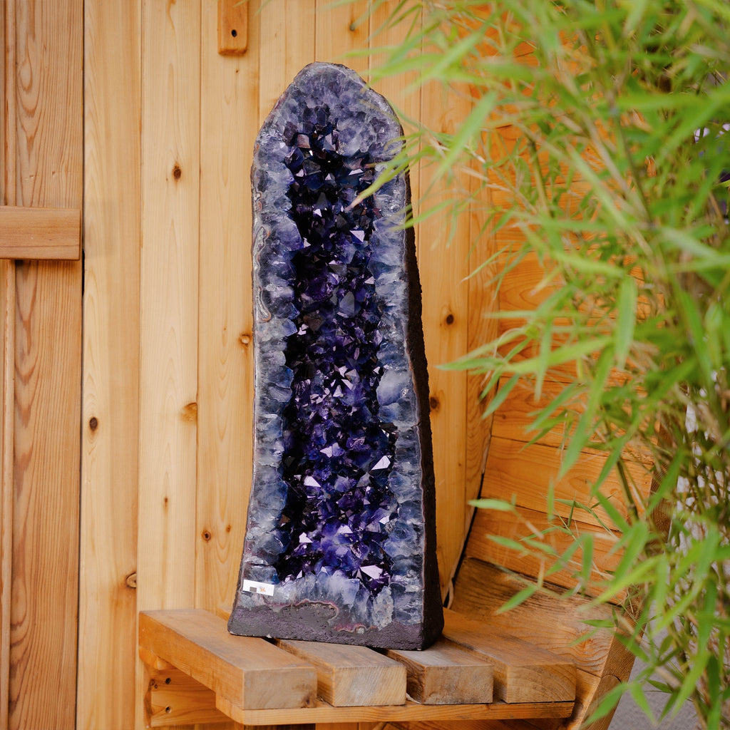 Large Amethyst Cathedral Geode - Brazilian High Quality (30.48kg) - The Keico