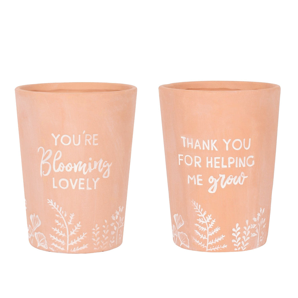 Perfectly Positive Terracotta Plant Pots - The Keico