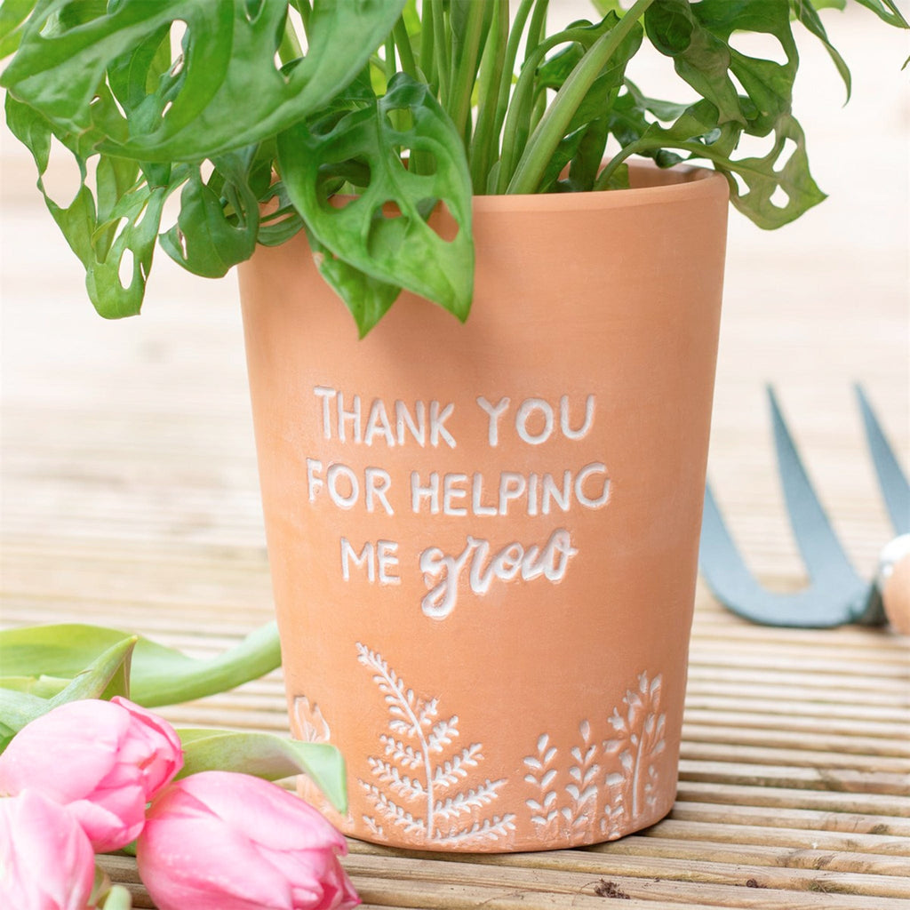 Perfectly Positive Terracotta Plant Pots - The Keico