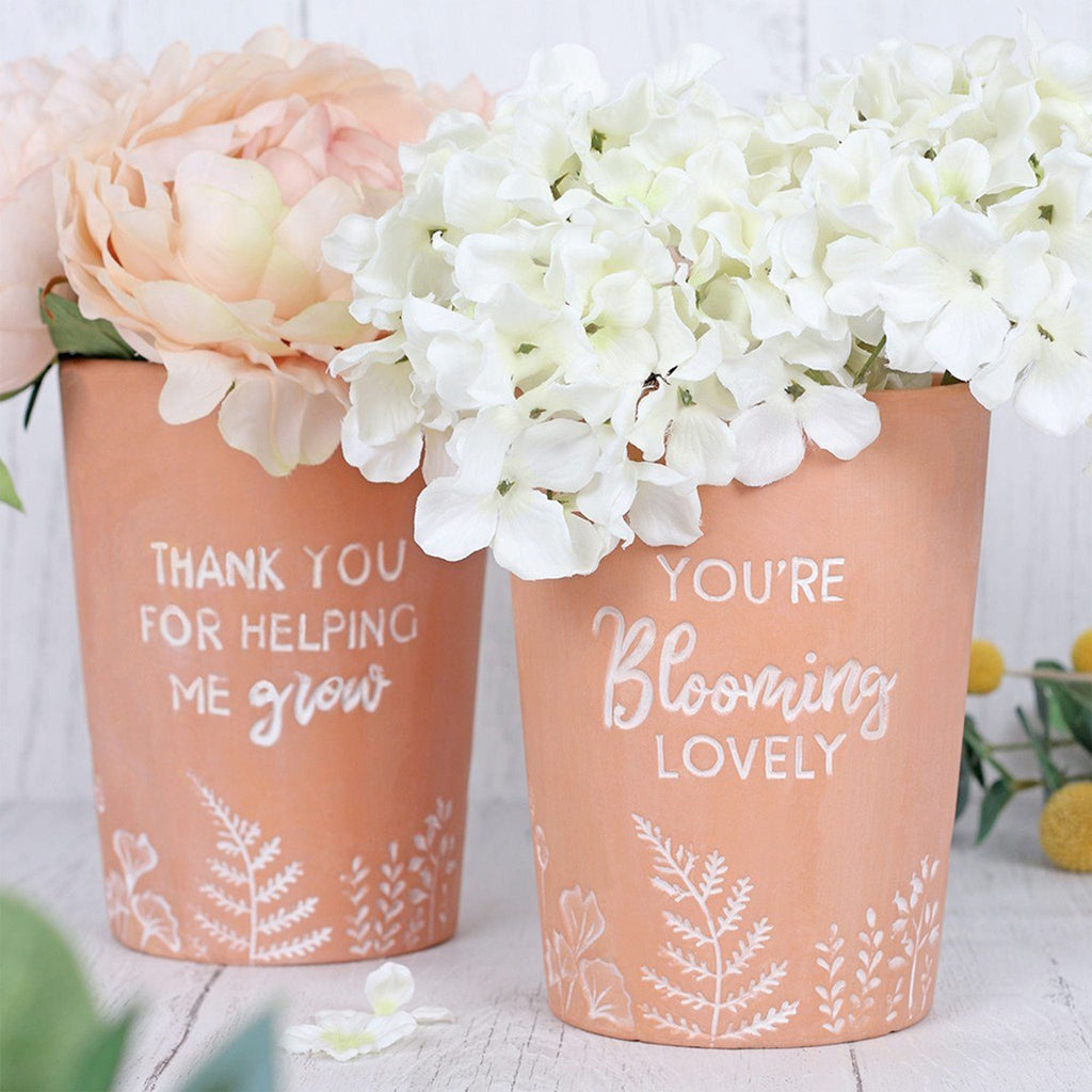 Perfectly Positive Terracotta Plant Pots - The Keico